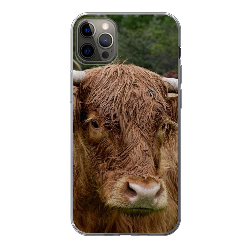 MuchoWow Handyhülle Schutzhülle Hülle für iPhone 12 Pro Max Schottische Highlander - Tiere - Gras Silikon Softcase Handy Hülle - Hartschale
