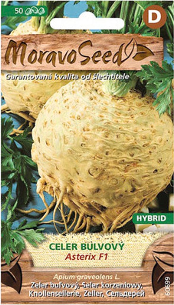 Staudensellerie ASTERIX F1 - Hybride MoravoSeed