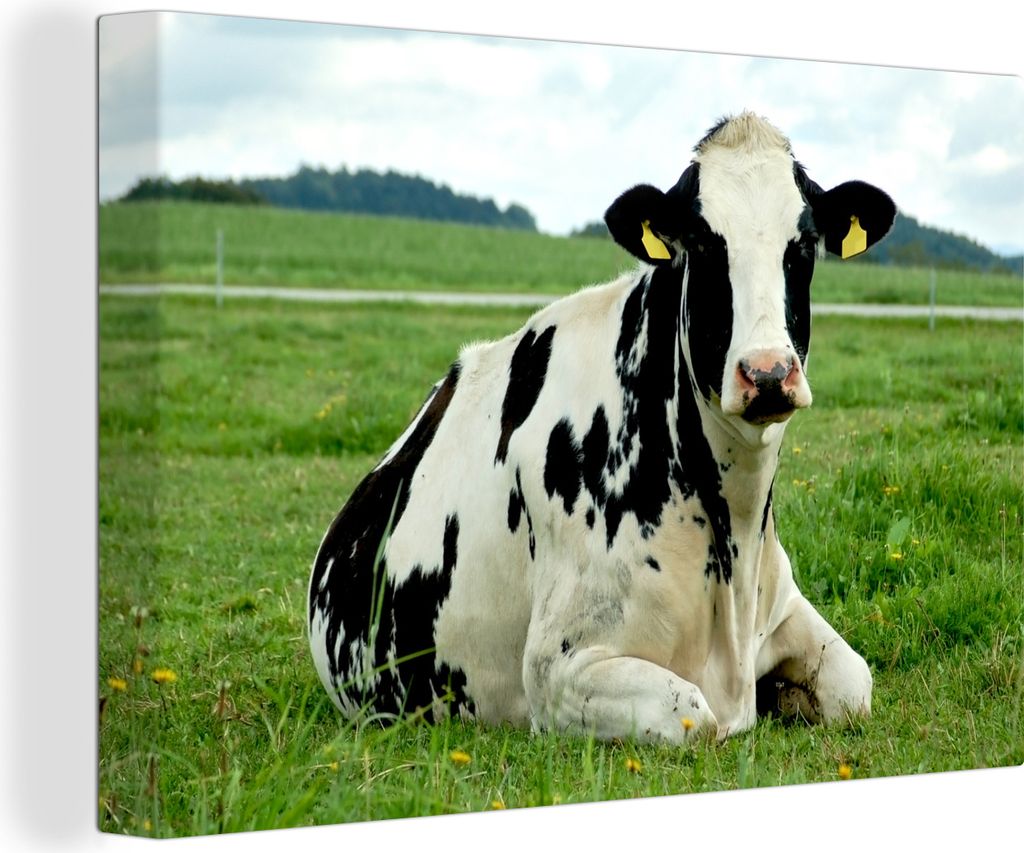 OneMillionCanvasses - Leinwandbilder - 150x100 cm, Kuh - Gras - Tiere - Berg, Wandbilder Kunstdruck Wanddekoration