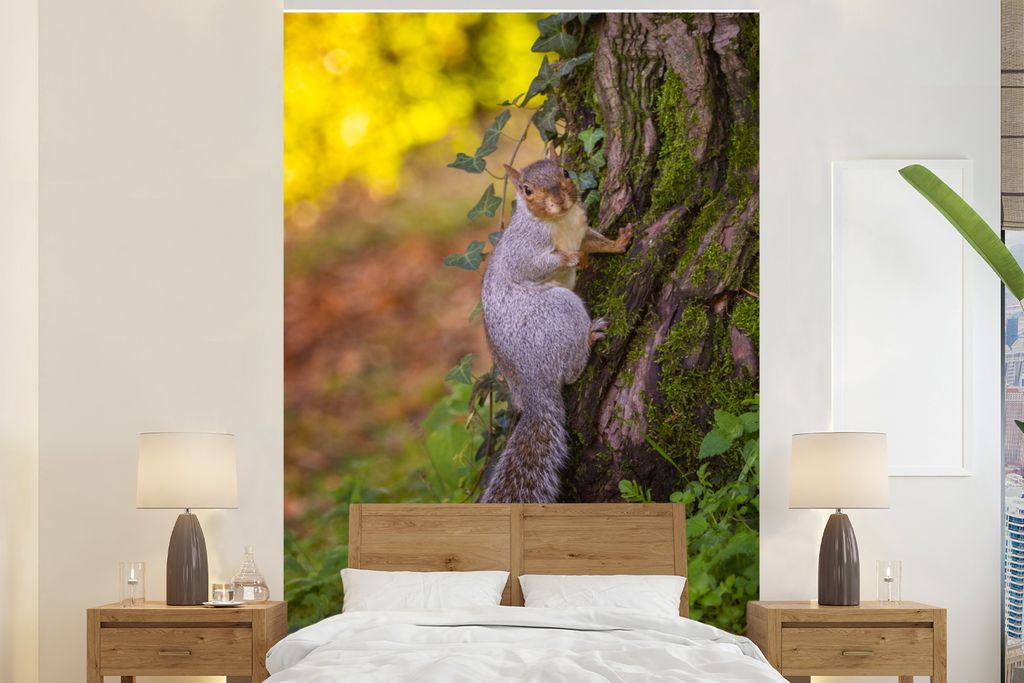 MuchoWow Fototapete für Wohnzimmer oder Schlafzimmer Wandtapete Vinyl Motivtapete Eichhörnchen - Moos - Baum - 180x280 cm - Wallpaper