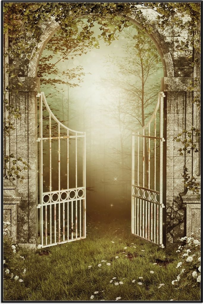 Wallario Wandbild Tor in den Wald, Größe: 61 x 91,50 cm, Poster mit schwarzem Aluminiumrahmen