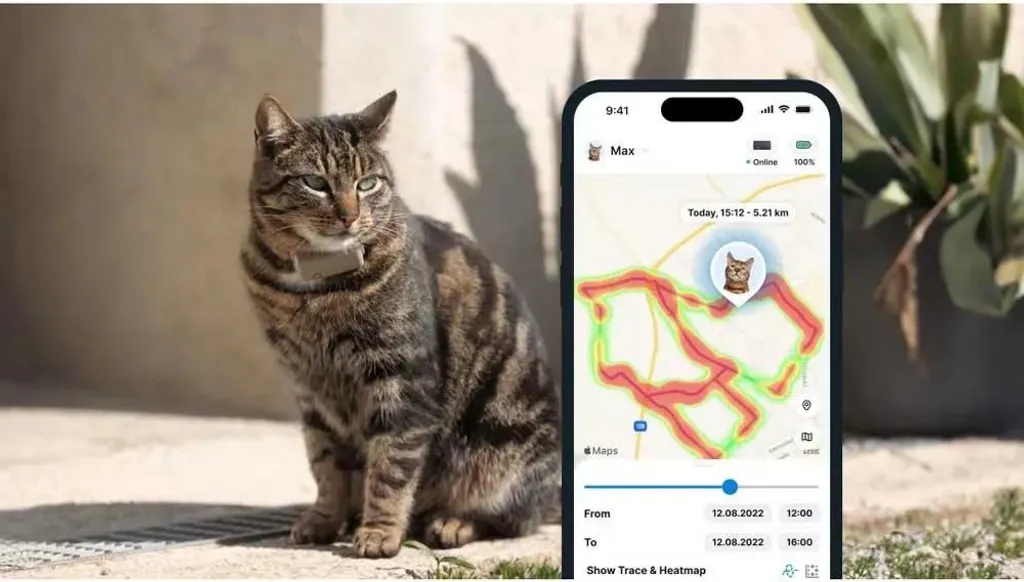 Tractive CAT Mini - GPS pour Chat avec Collier Rogz Marron et Santé - 3