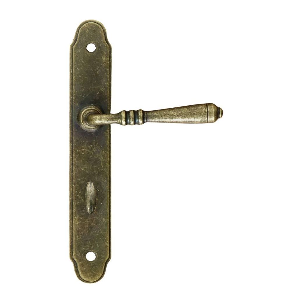 A door handle set with a long backplate, shown against a white background.
