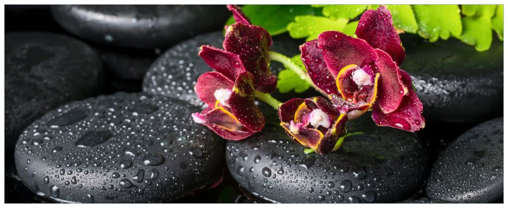 Wallario Premium Glasbild, freischwebende Optik, kräftige Farben, Größe 125 x 50 cm Motiv Dunkelrote Orchideen-Blüte auf schwarzen Steinen mit ...