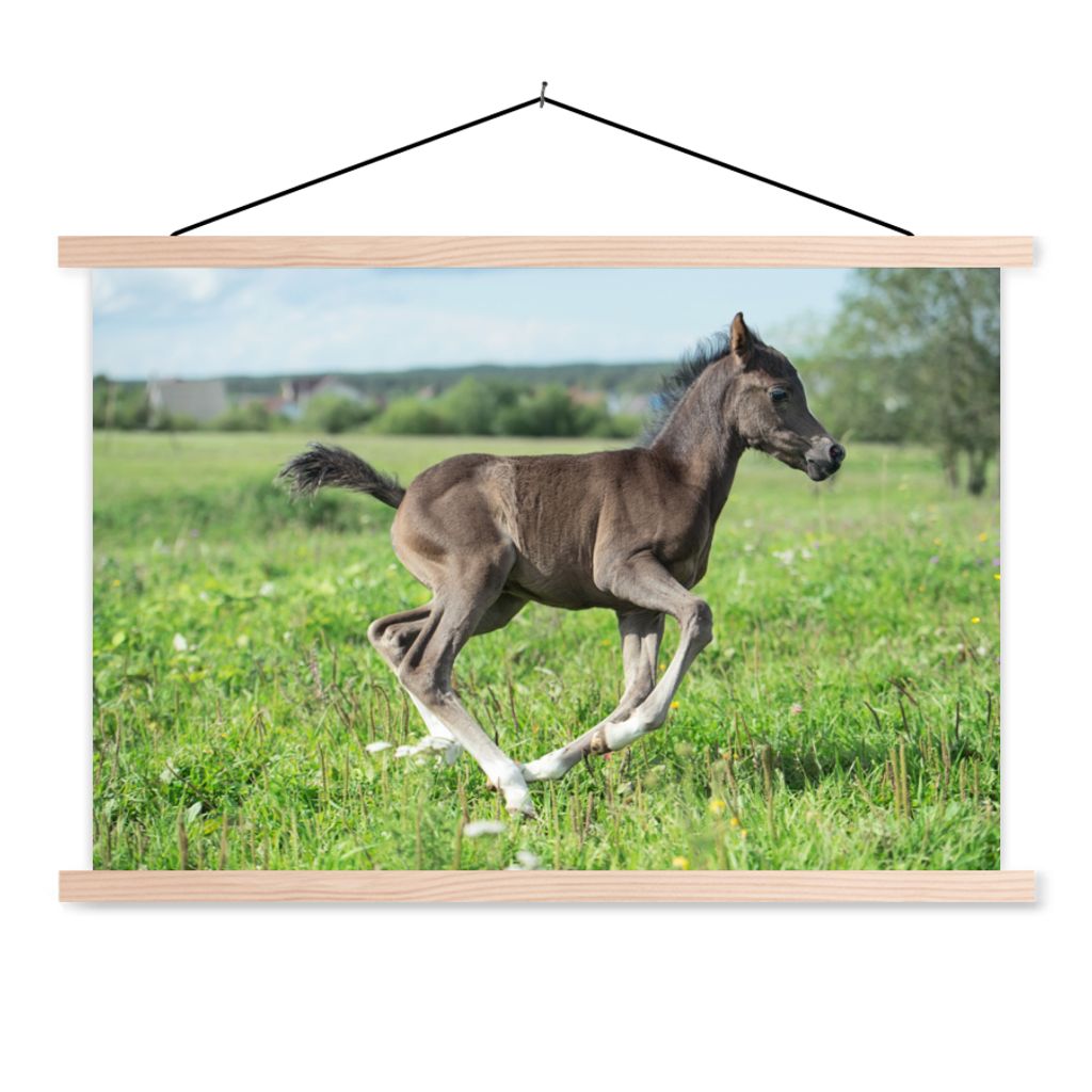 MuchoWow Textilposter Pferd - Blumen - Gras 60x40 cm mit holzfarbenen Rahmen - Bilder