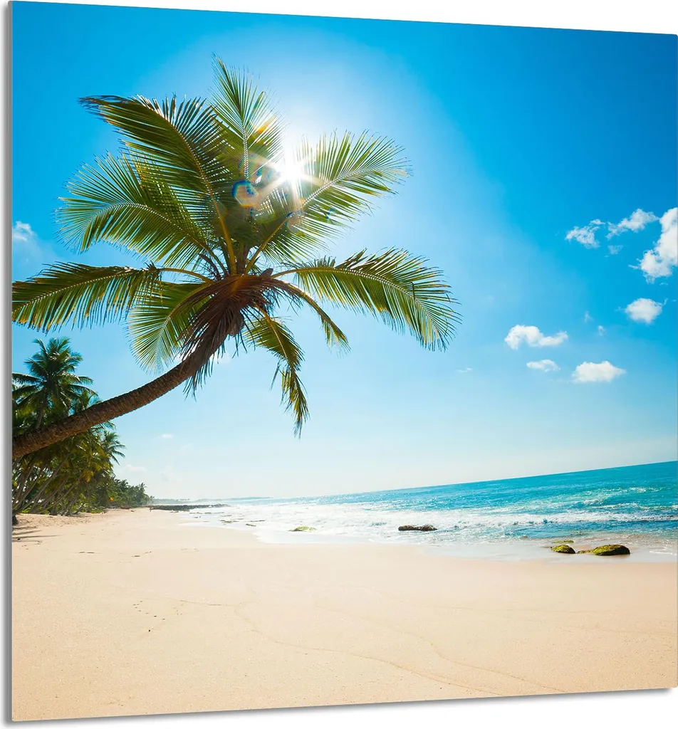 GLASPLATTE FÜR KÜCHE 60x65 Filo