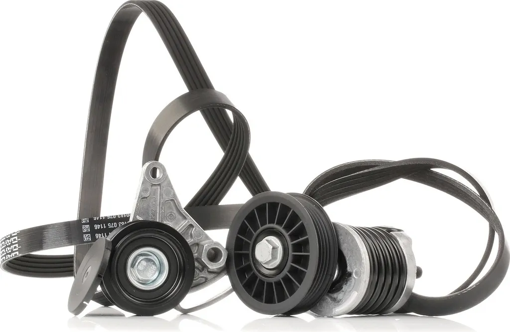 Kit de courroies accessoires pour Audi A4 A6 et VW Passat - Qualité OE