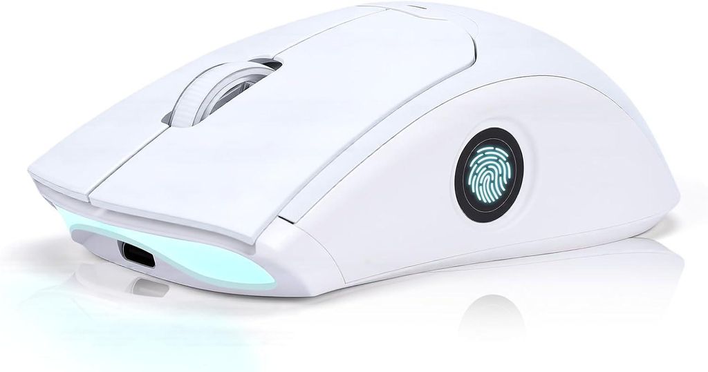 2 in 1 Fingerabdrucksensor & Kabellose Maus für 7 8 10 11 Hello – Unterstützt bis zu 20 IDs, 2,4 GHz mit USB Unifying Empfänger Bluetooth 5.0 ...