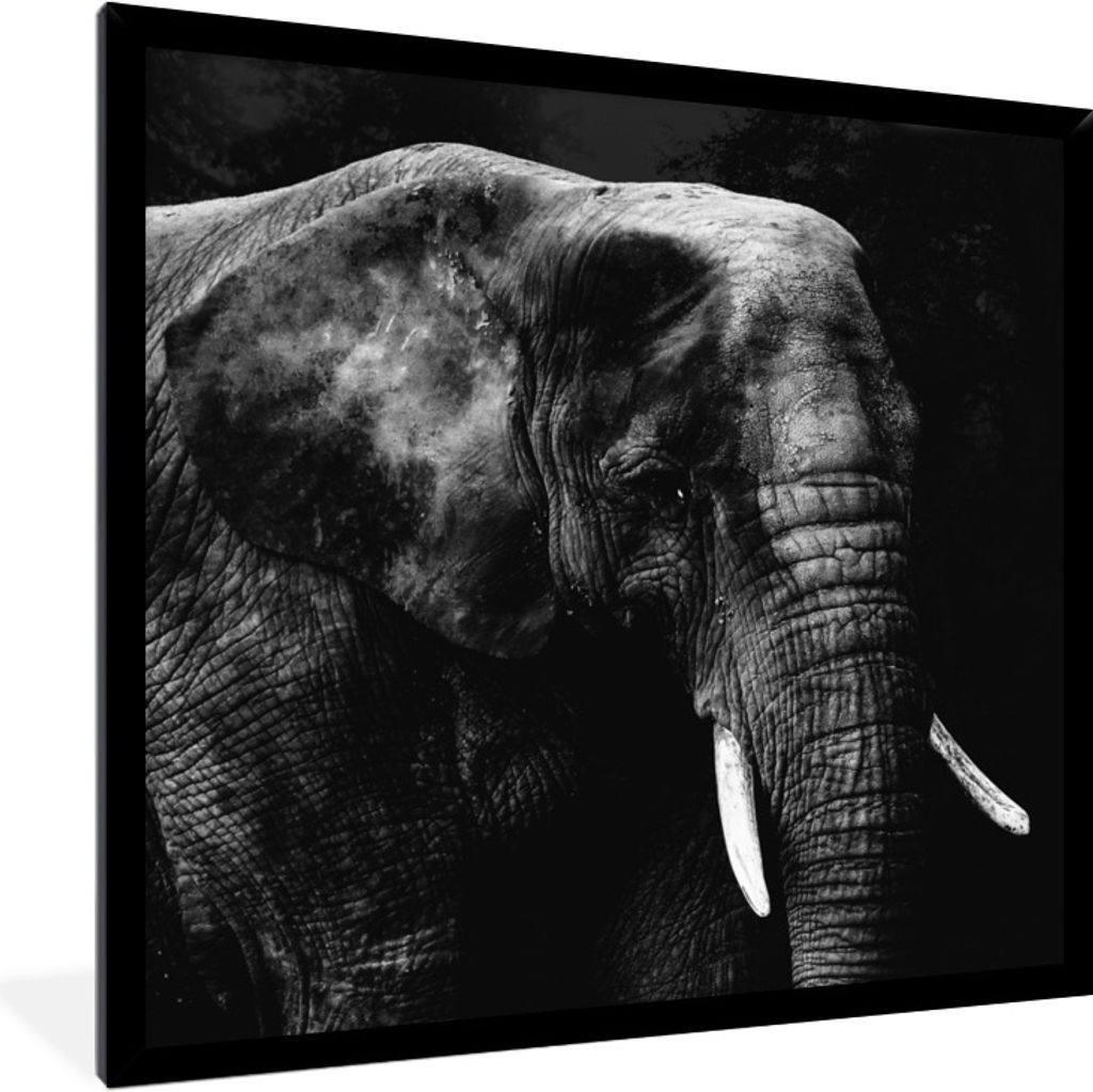 MuchoWow Gerahmtes Poster Elefant - Tiere - Schwarz - Weiß 40x40 cm - Poster mit Schwarzem Bilderrahmen Wandposter Rahmen Foto Bilder - Mit Rahm...