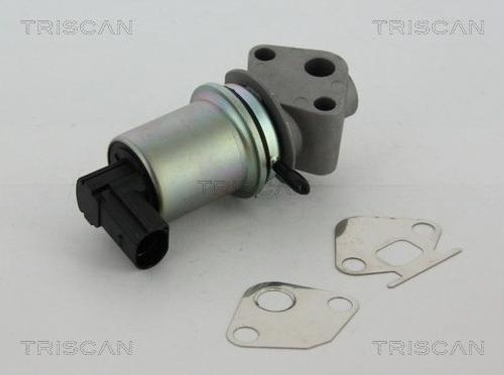 TRISCAN 8813 29004 AGR-Ventil mit Dichtungen für VW Golf IV Produktbild 