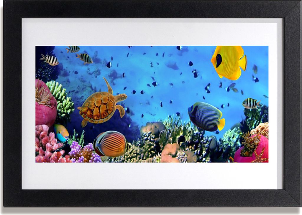 Bild 30x20 MDF-Rahmen Wandkunst Barrier Reef Nature