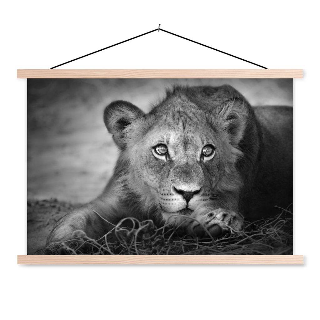 MuchoWow Textilposter Wildtiere - Löwe - Natur - Schwarz - Weiß 60x40 cm mit holzfarbenen Rahmen - Bilder
