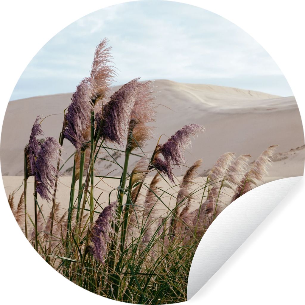 MuchoWow Runde Wandtattoo - Wandsticker Tapete Aufkleber Pampasgras - Sand - Pflanzen - Düne Ø 30 cm Selbstklebend und Repositionierbar - Wanda...