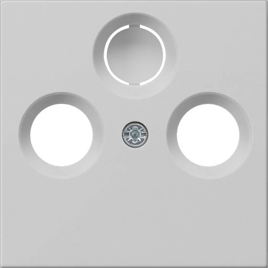 Gira 0869015 Cache Prise Antenne Coaxiale Gris : Plaque de Finition