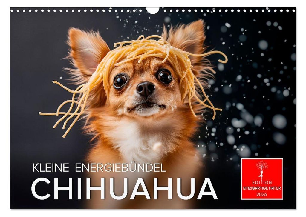 Chihuahua - kleine Energiebündel (Wandkalender 2026 DIN A3 quer), CALVENDO Monatskalender