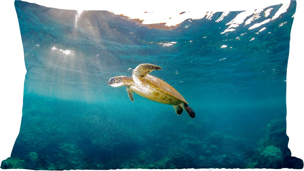 MuchoWow Zierkissen Sofakissen Wohnzimmer Dekokissen 60x40 cm Schildkröte im klaren Wasser - Kopfkissen - Polster mit Foto