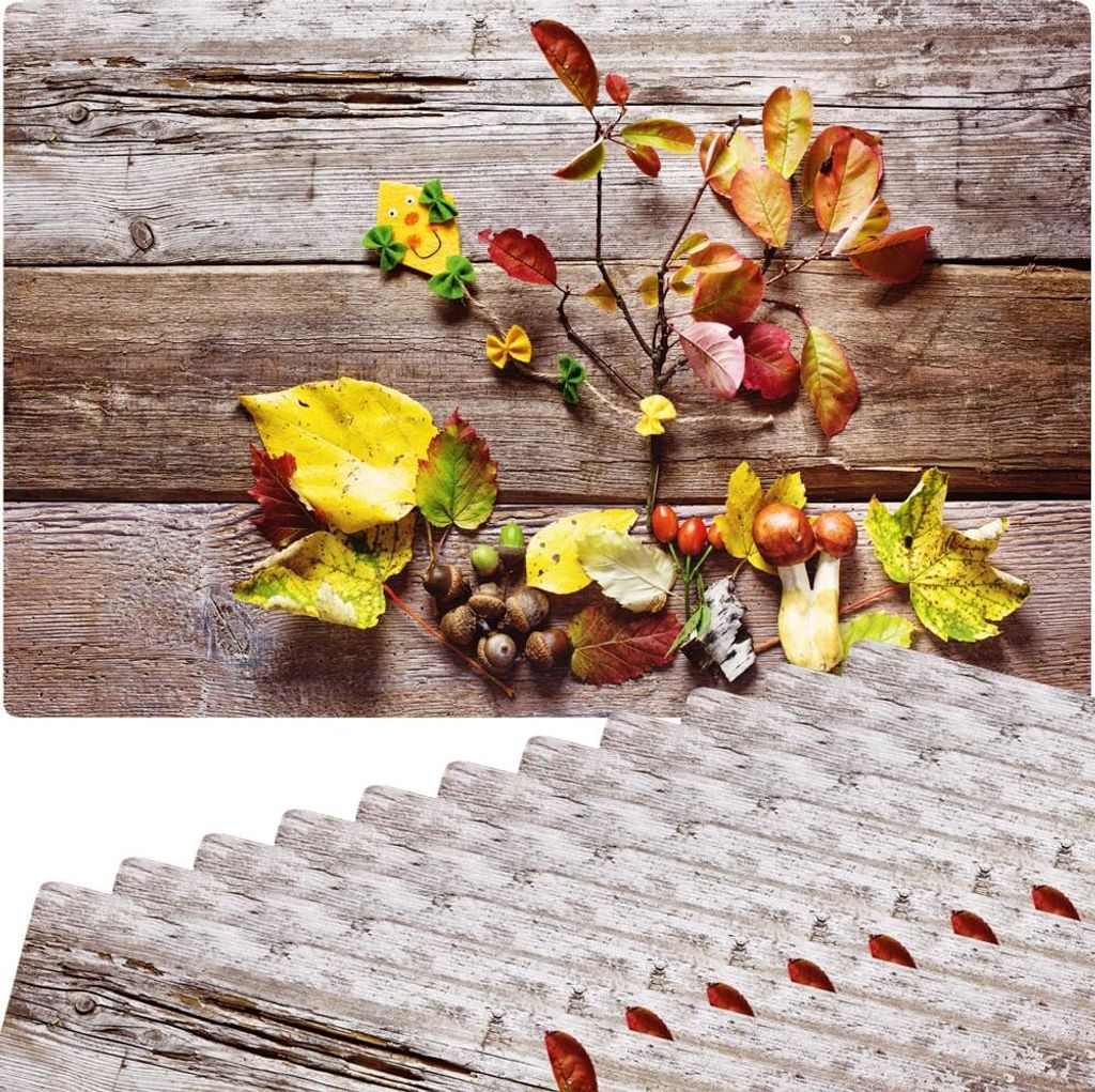 Abwaschbare Tischsets 12er Set buntes Herbst-Laub Blätter