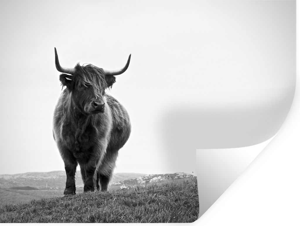 MuchoWow Wandtattoo Wandsticker Wandaufkleber Tiere - Schottische Hochlandbewohner - Schwarz und weiß - Natur - Ländlich 40x30 cm Selbstklebend...