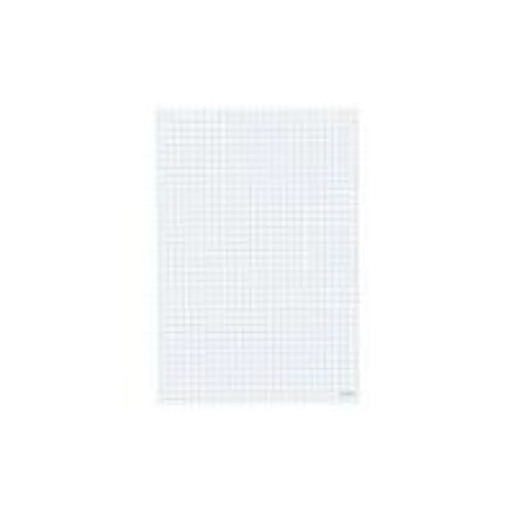 Papier pour chevalet de conférence blanc 68x99 cm herlitz lot de 5