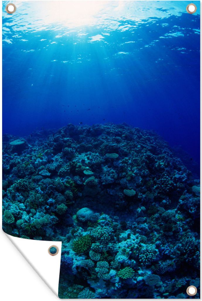 MuchoWow 40x60 cm Outdoor-Poster Gartendeko Sichtschutz Garten Poster für den Garten Great Barrier Reef mit Unterwasser-Lichtstrahlern