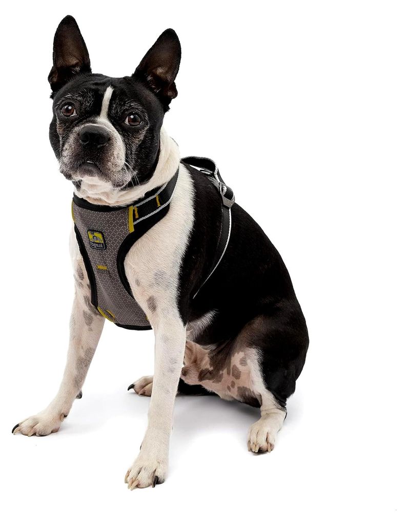 Hunde-Autogeschirr, Crashtest- für erhöhte Sicherheit, Für Hunde von 5-11 kg geeignet, Größe S, Schwarz