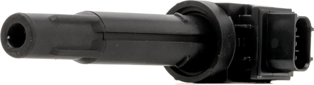 DELPHI GN11090-12B1 Bobina di accensione 12V per SUZUKI SWIFT IV (FZ, NZ) VITARA (LY) SWIFT V (AZ) SX4 S-Cross (JY) IGNIS (MF) Baleno II hatchback (FW, EW)