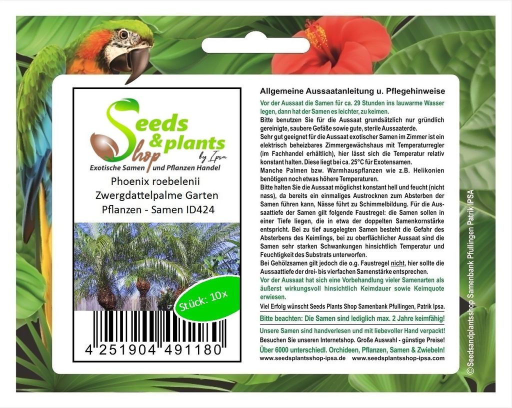 10x Phoenix roebelenii Zwergdattelpalme Garten Pflanzen - Samen ID424