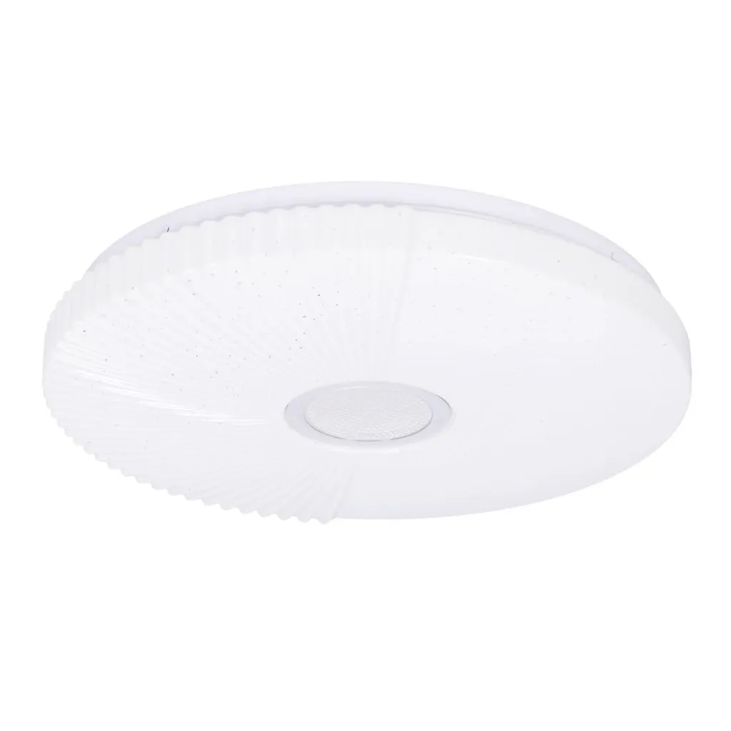 Luminaire Plafonnier LED Rond 24W Blanc Jour 4000K pour Pièces de Vie