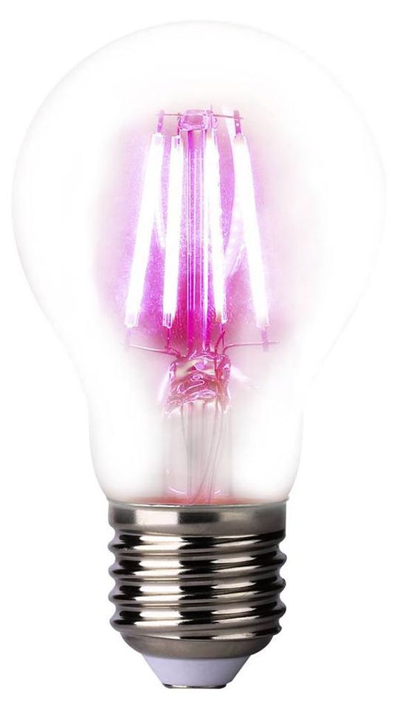 LED Pflanzenlampe A60 E27/4W Produktbild 