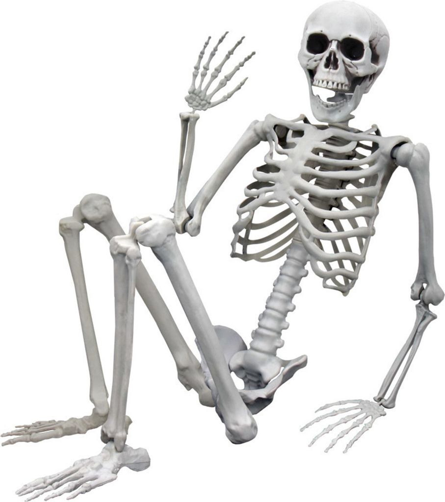 Realistický veľký kostlivec 170 cm - tmavá halloweenska Obrázok produktu 