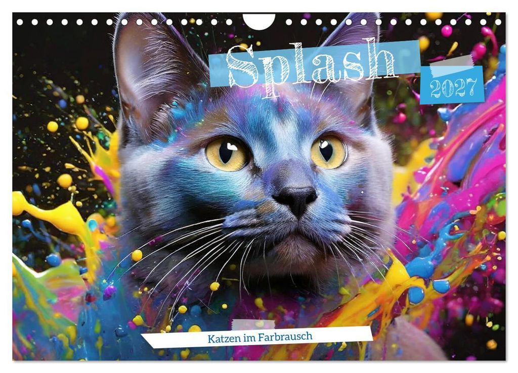 Splash - Katzen im Farbrausch (Wandkalender 2027 DIN A4 quer), CALVENDO Monatskalender