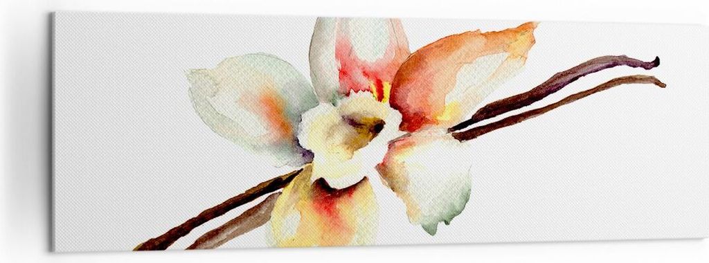 Bild auf Leinwand - Leinwandbild - Vanille Gewürz Blume Pflanze - 160x50cm - Wand Bild - Wanddeko - Leinwanddruck - Bilder - Kunstdruck - Wanddeko...