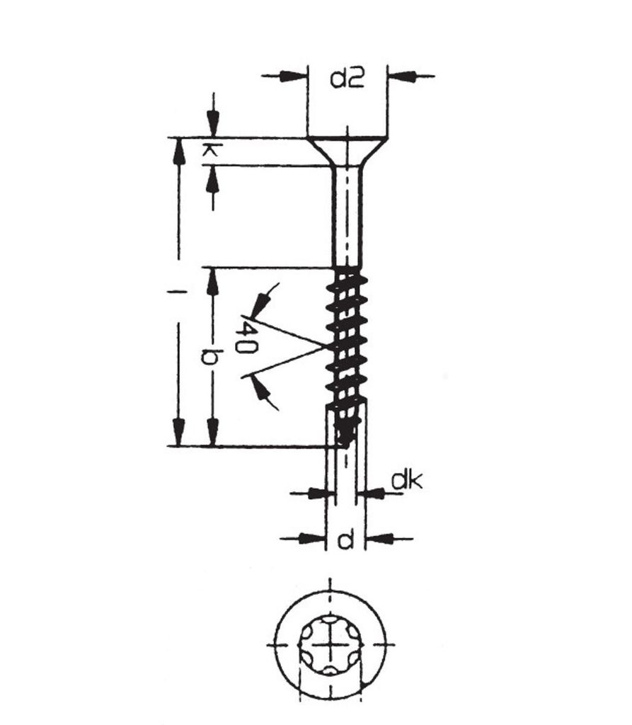 Holzschraube für Klettergriffe,5.0 x 50 mm verzinkt Torx