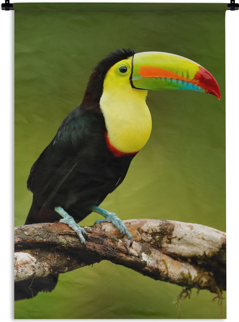 MuchoWow Wandteppich Wandbehang Vogel - Tukan - Regenbogen - Grün - Zweig 120x180 cm Tapisserie Dekoration Wandtuch - Schlafzimmer - Dekoratione...