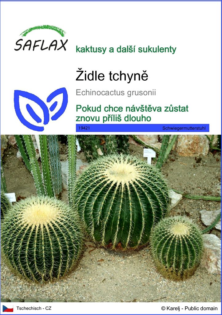 SAFLAX - židle tchyně - Echinocactus grusonii - 40 Semena Obrázek produktu 