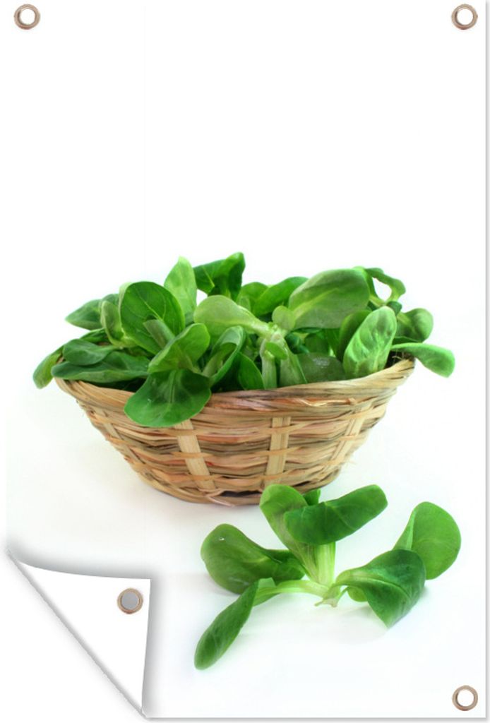 MuchoWow 60x90 cm Outdoor-Poster Gartendeko Sichtschutz Garten Poster für den Garten Weidenkorb voller grüner Feldsalatblätter
