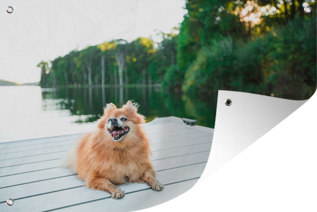 MuchoWow 120x80 cm Outdoor-Poster Gartendeko Sichtschutz Garten Poster für den Garten Pomeranian liegend auf Steg