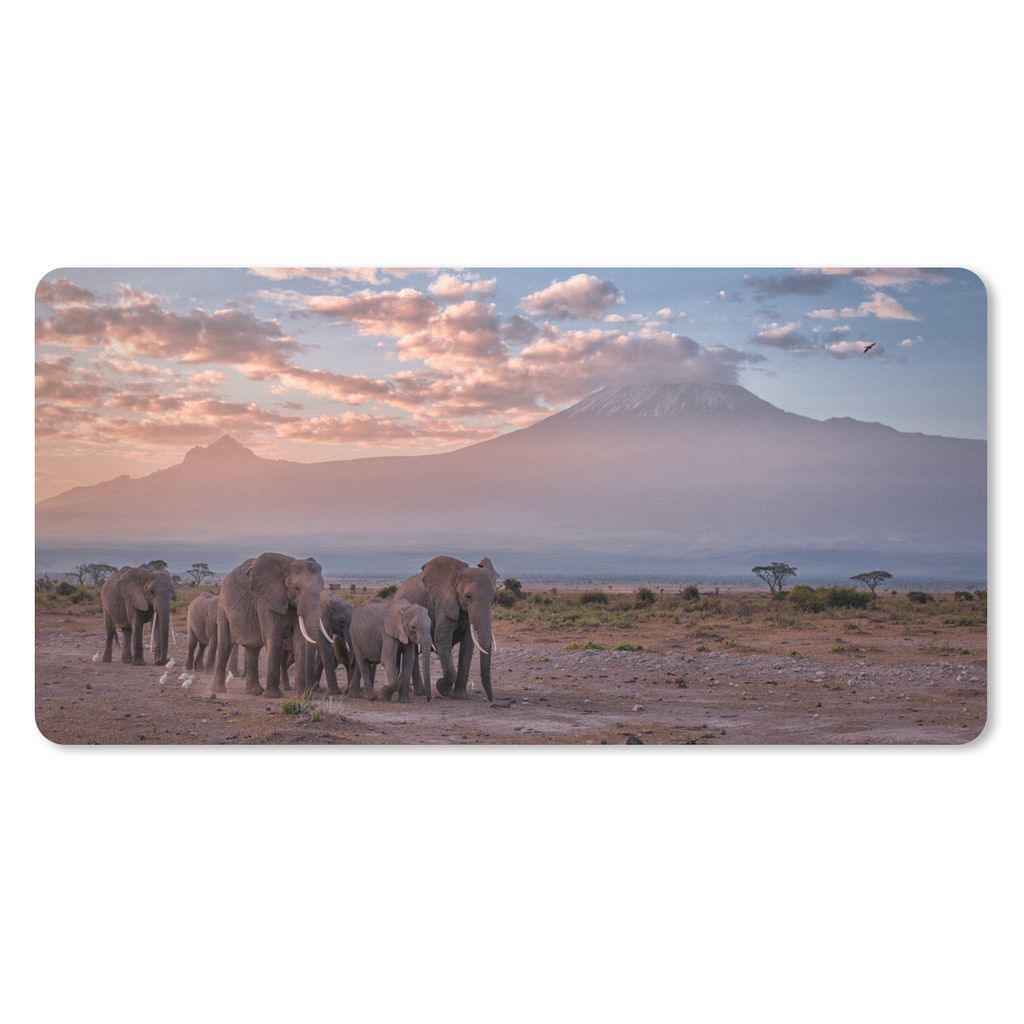 MuchoWow Schreibtischunterlage Elefant - Tiere - Abend - Landschaft - Savanne 80x40 cm - XXL Mauspad - Gaming Mauspad