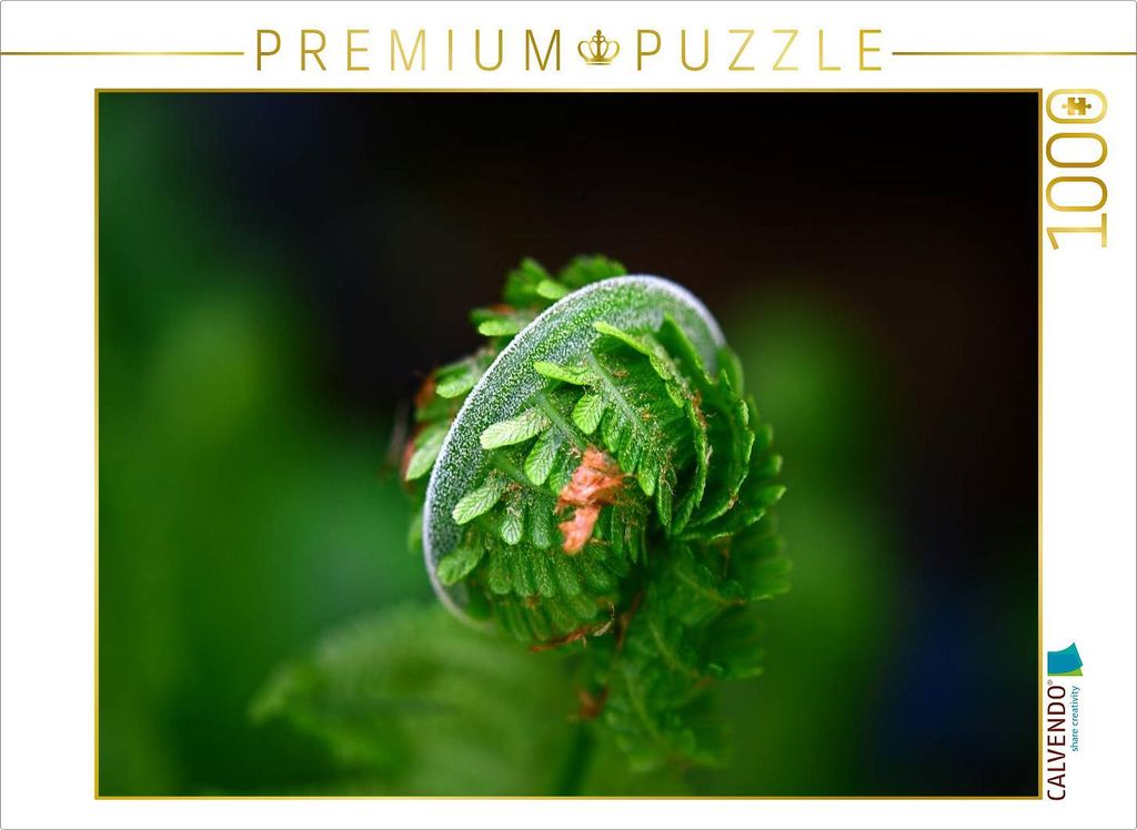 CALVENDO Puzzle Ein Motiv aus dem Kalender Grün / Geburtstagskalender / Terminplaner | 1000 Teile Lege-Größe 64x48cm Foto-Puzzle für glücklich...