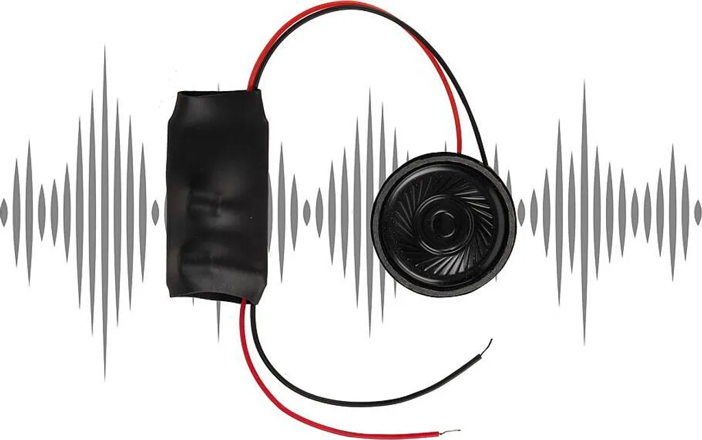 Kit Effet Sonore Poules Faller 180264 avec Haut-parleur Intégré pour HO