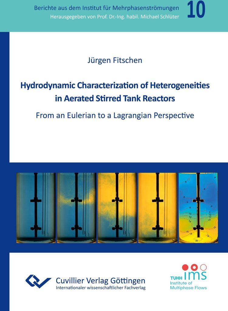 Hydrodynamic Characterization of Heterogeneities in Aerated Stirred Tank Reactors. From an Eulerian to a Lagrangian Perspective
