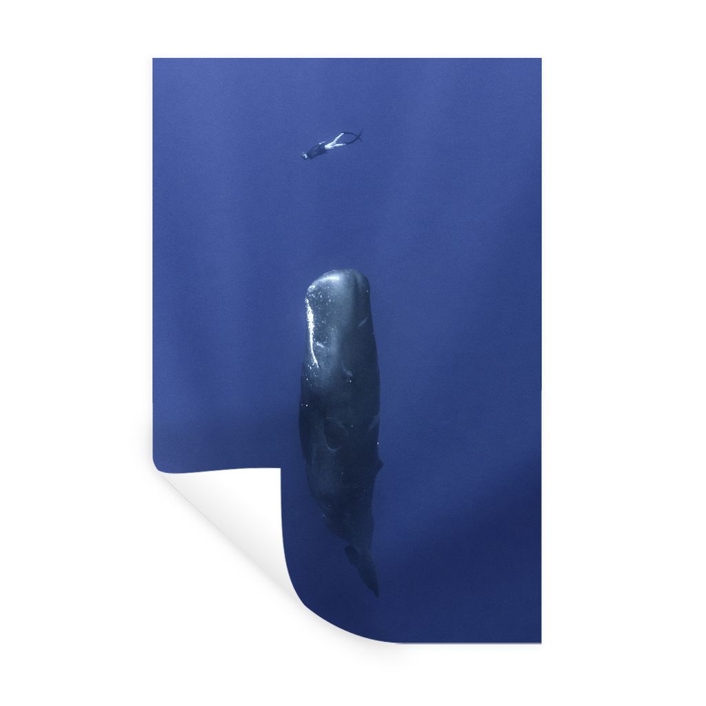 MuchoWow Wandtattoo Wandsticker Wandaufkleber Pottwal - Taucher - Blau 20x30 cm Selbstklebend und Repositionierbar - Sticker - Dekorfolie