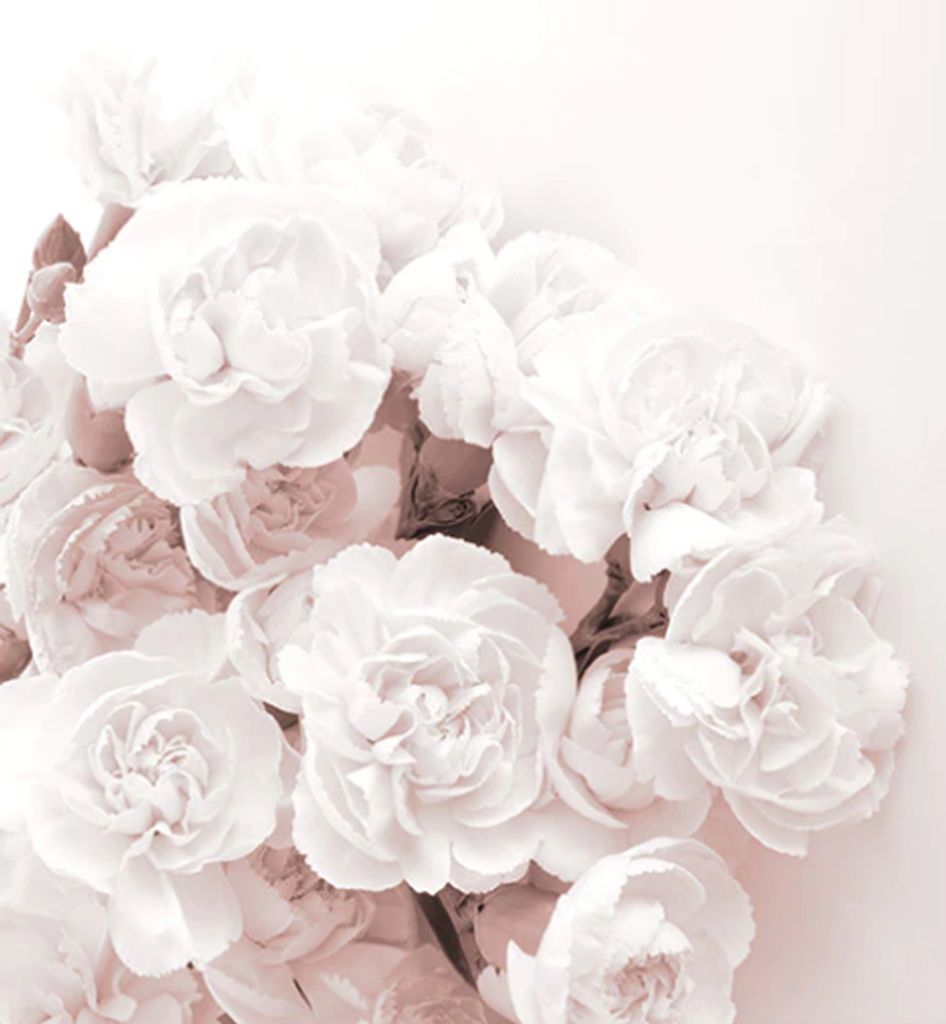 TPFLiving Kunstdruck LW-410 (OHNE RAHMEN) Poster - Leinwand - Wandbild - Hochauflösender Giclée-Druck, langlebig und hochwertig - Rosa Blumen und...