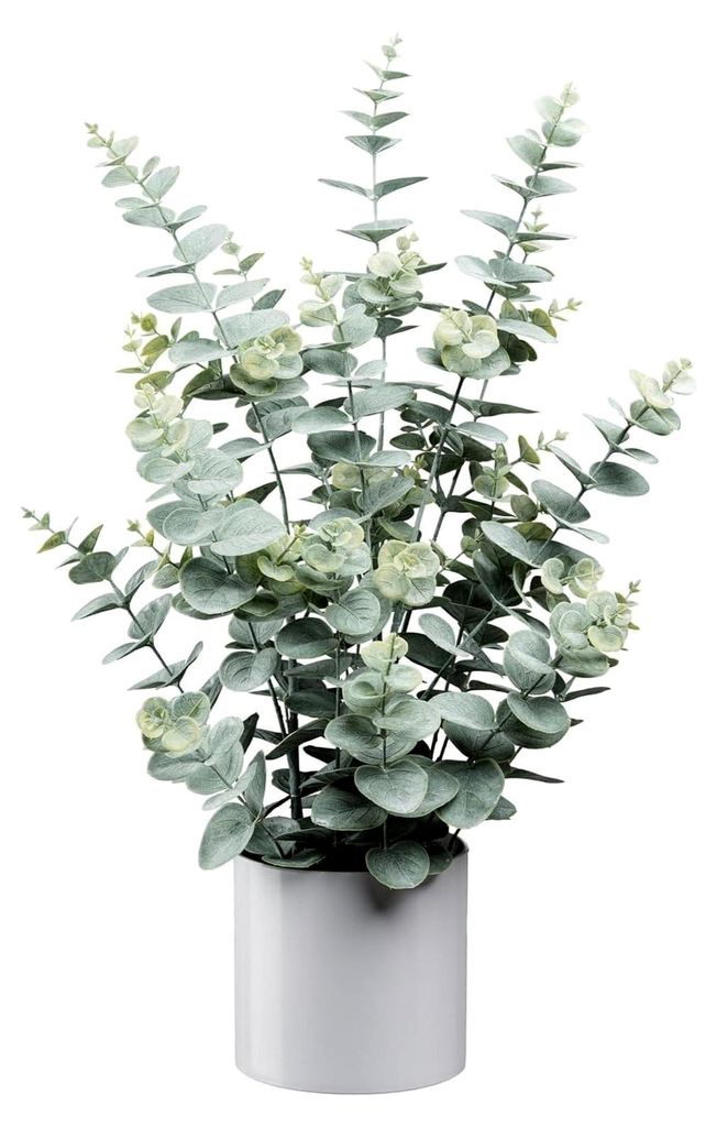 Künstlicher Eukalyptus 65 cm im weißen Topf - naturgetreue Eukalyptuspflanze in grün-grau - Deko Eukalyptus für Innen - Kunstpflanze im Topf 12...
