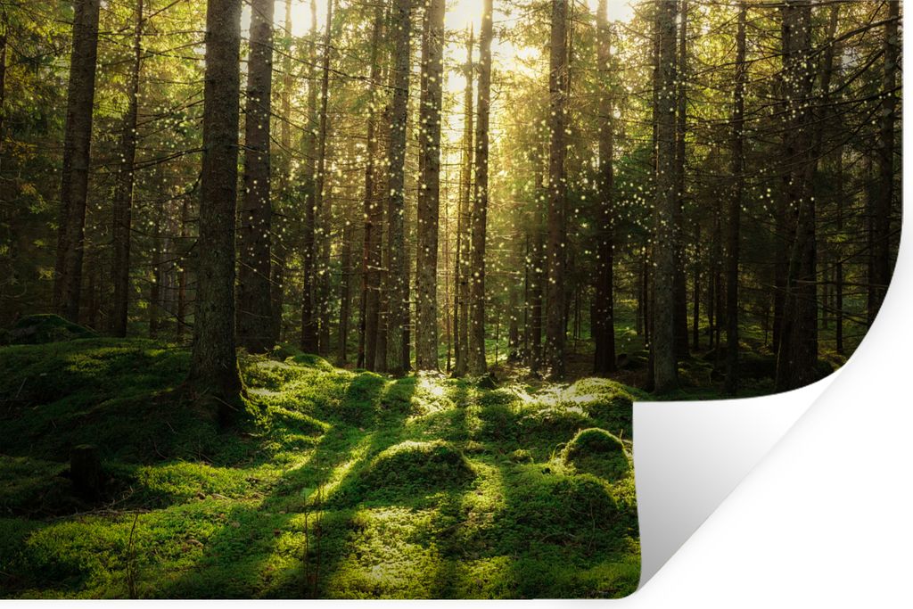 MuchoWow Wandtattoo Wandsticker Wandaufkleber Bäume - Wald - Moos - Pflanzen - Sonne - Natur 120x80 cm Selbstklebend und Repositionierbar - Selb...