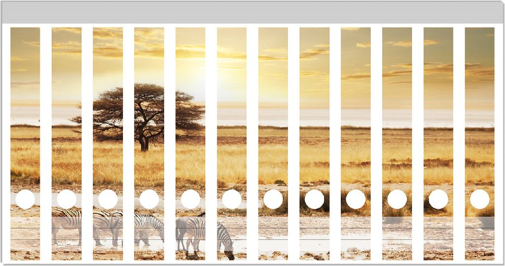 Wallario Ordnerrücken Sticker, selbstklebend für schmale Ordner, 12 Stück, Motiv Safari in Afrika eine Herde Zebras am Wasser