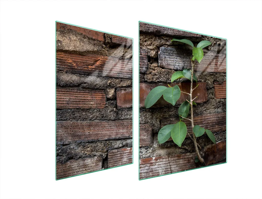 Paraschizzi in Vetro Herd 70X52 | Proteggi lo Specchio in Cucina