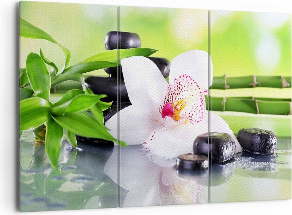 Bild auf Leinwand - Leinwandbild - blume orchidee - 165x110cm - Wand Bild - Wanddeko - Wandbilder - Leinwanddruck - Bilder - Kunstdruck - Wanddekor...