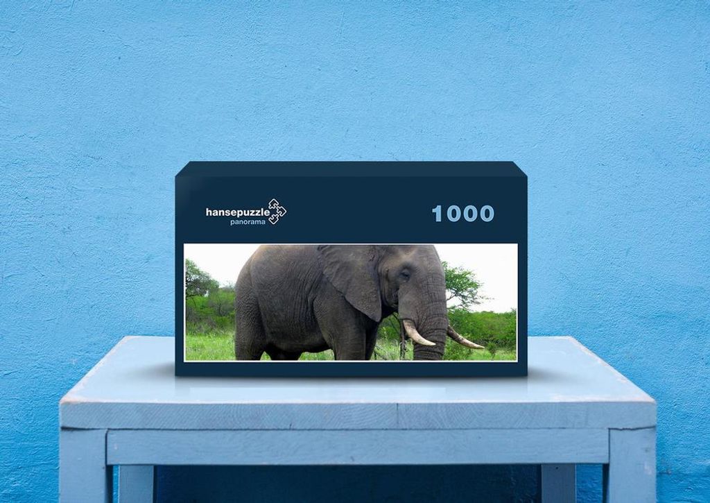 hansepuzzle 75622 - Elefant Puzzle, 1050 Teile, Tierwelt, 60,0 x 46,0cm mit hochwertiger Aufbewahrung, Kartonbox und wiederverschließbarem Beutel