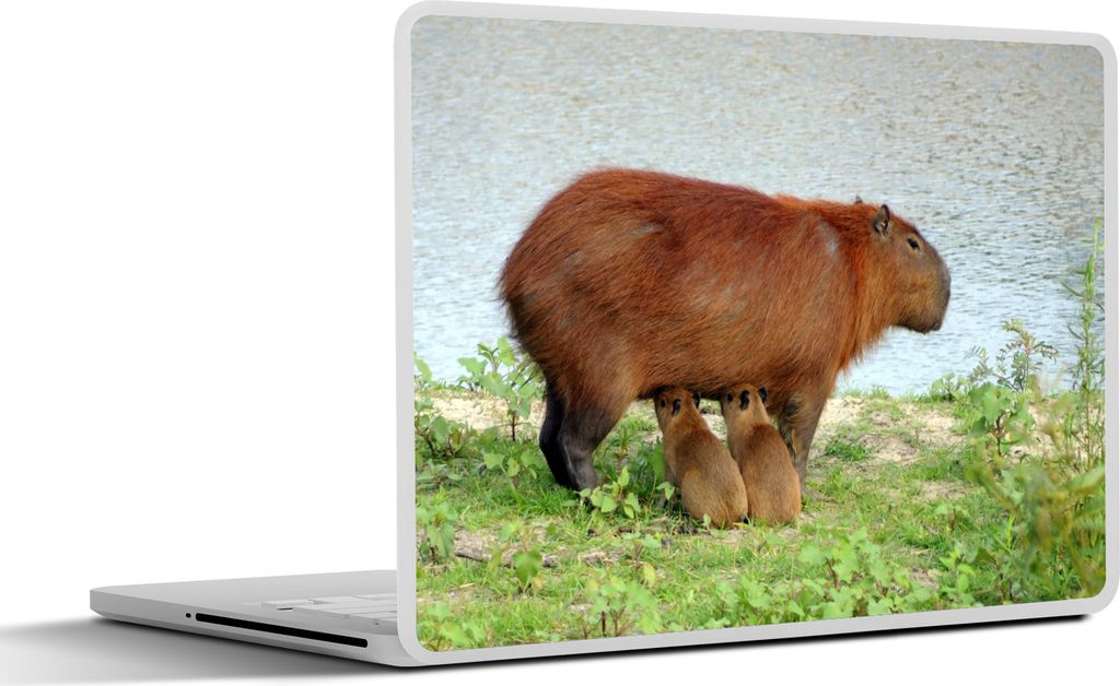 MuchoWow Laptop Aufkleber Sticker Cover Ein Wasserschwein mit zwei Jungtieren in der Nähe des Wassers 25x18 cm - Laptop-Deko
